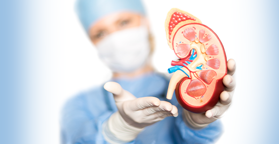 A Nephrologist specialized in kidney disorders