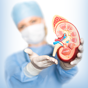 Nephrology