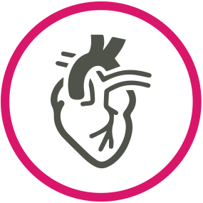 طب أمراض القلب طب أمراض القلب
