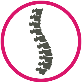 طب جراحة العمود الفقري