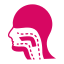 Difficulty Swallowing